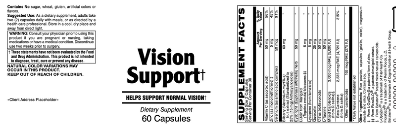 Vision Support†